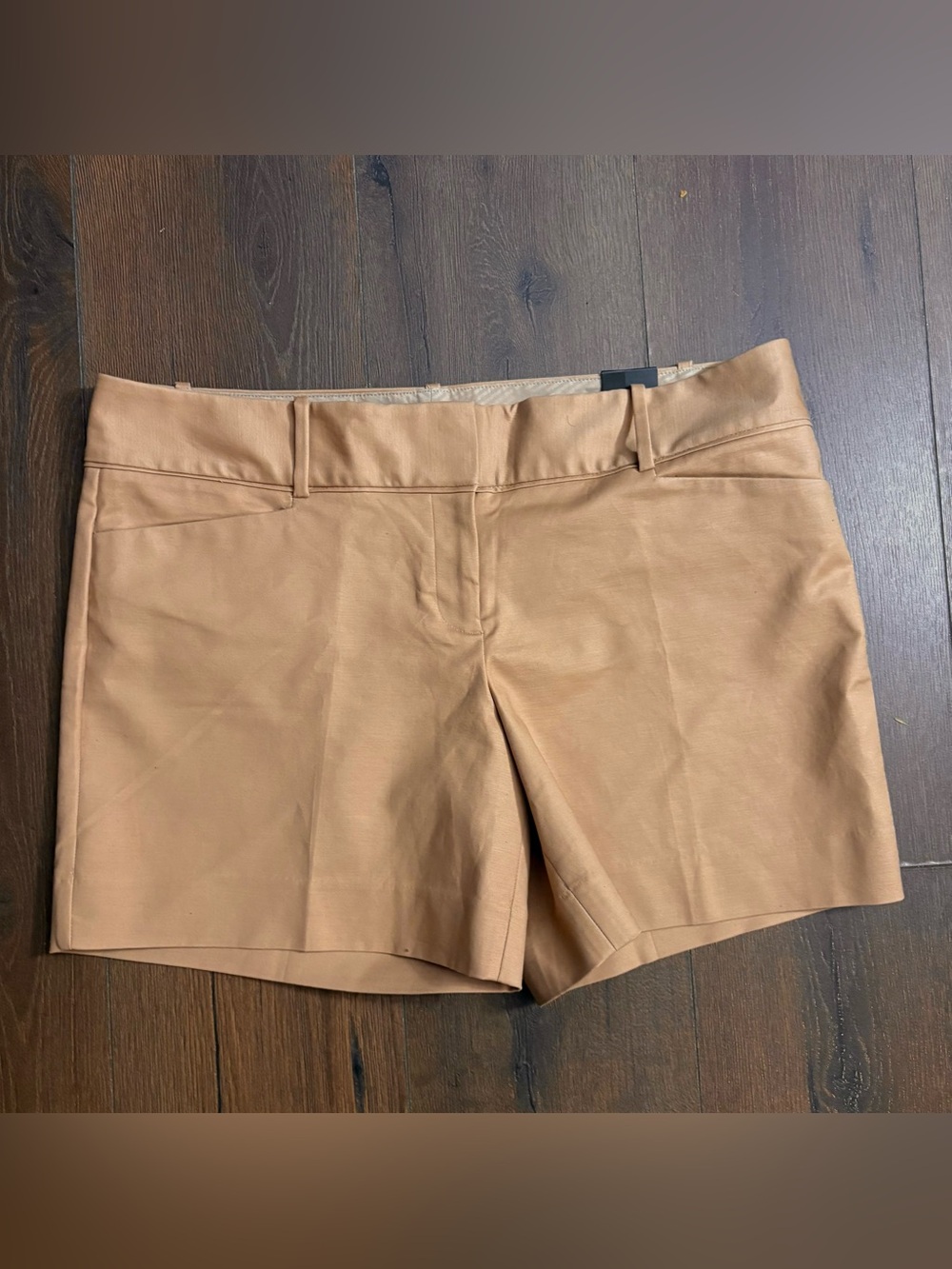 The limited khaki shorts
